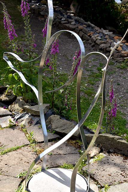 Air5-palmfoxg_8520-640