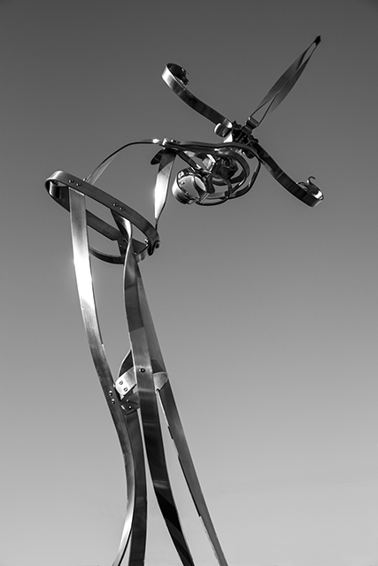 swordofstate-8370-bw